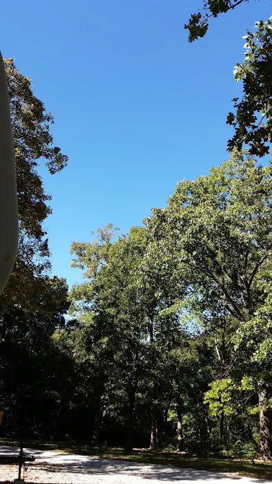 Rogers Pea Ridge Garden RV Picture 9