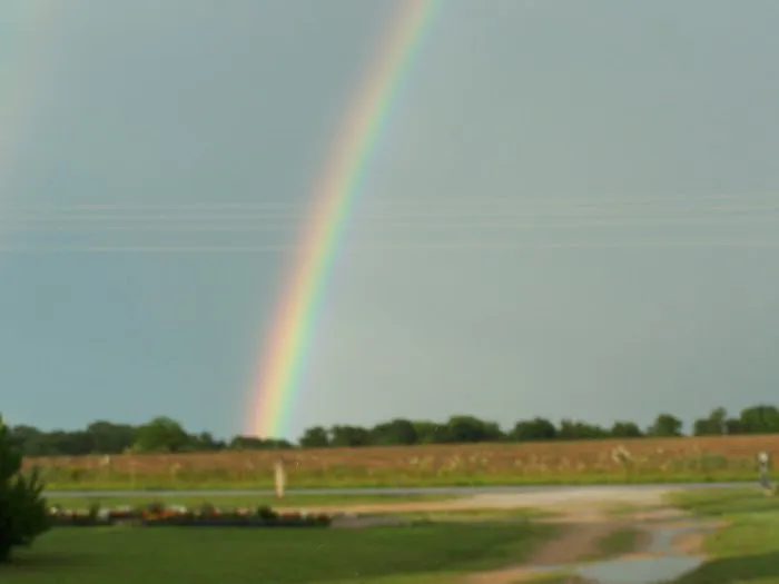 J's RV Park Picture 3