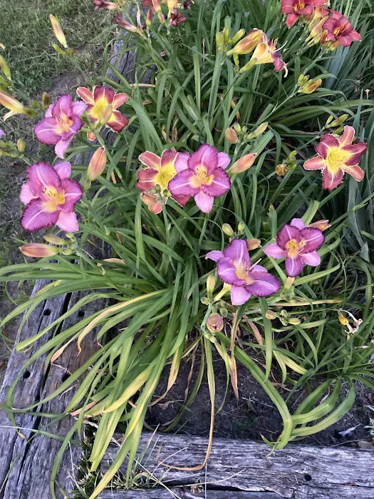 J's RV Park Picture 7