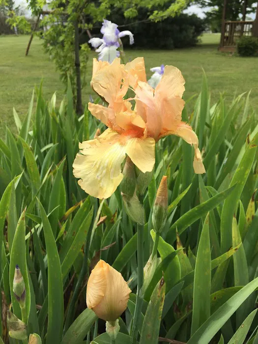 J's RV Park Picture 9