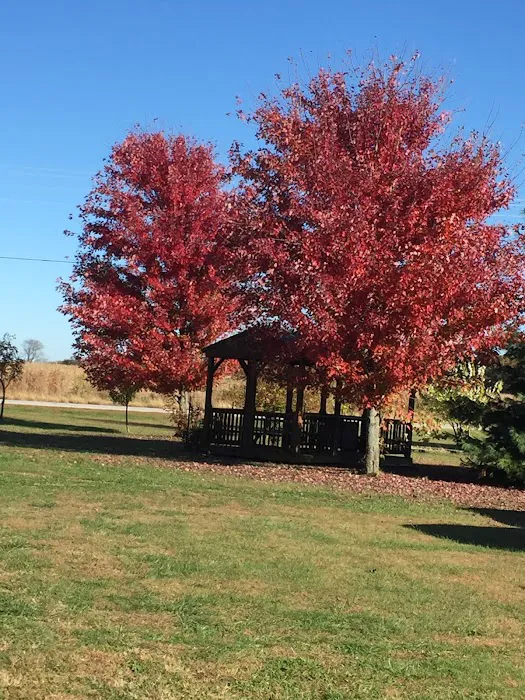 J's RV Park Picture 8