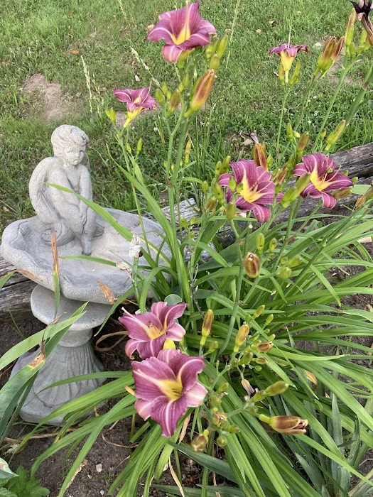 J's RV Park Picture 10