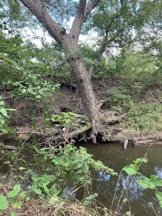 Duck Creek Rv Park Picture 5