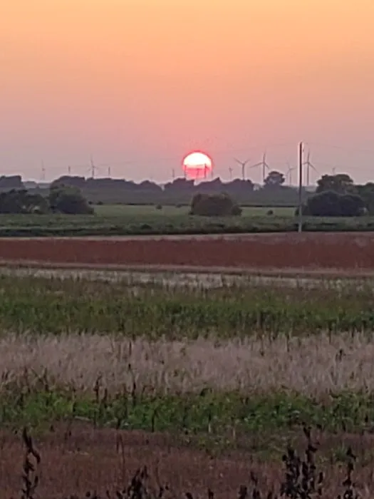 Rockin P RV Park Picture 2