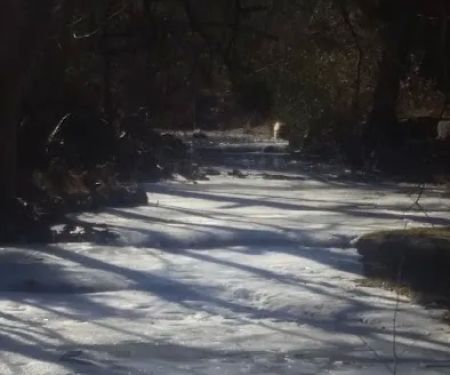 Broken Arrow Estates Mobile Home Park