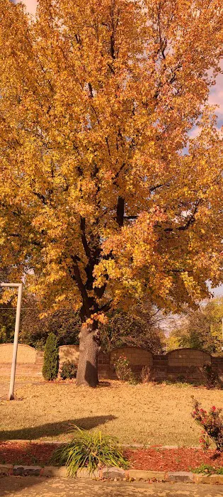 Estes Park Picture 7