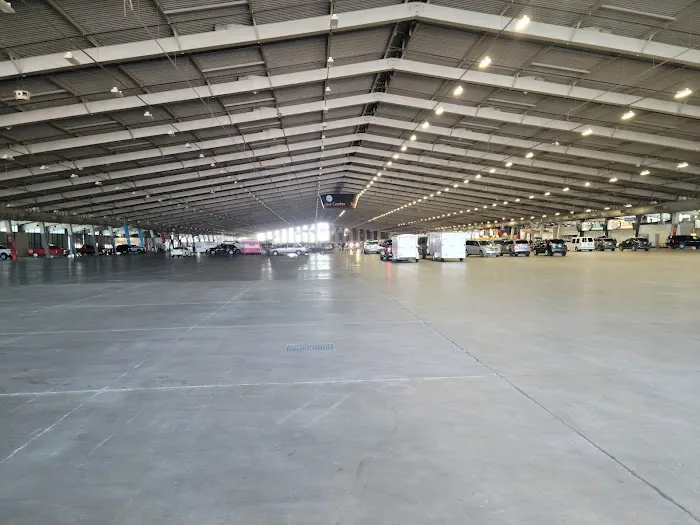 Expo Square RV Park Picture 7