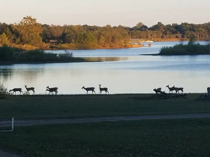 Terra Starr RV Park Picture 6