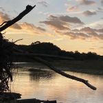 North Park & South Park Mobile