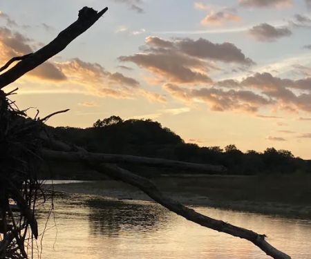 North Park & South Park Mobile