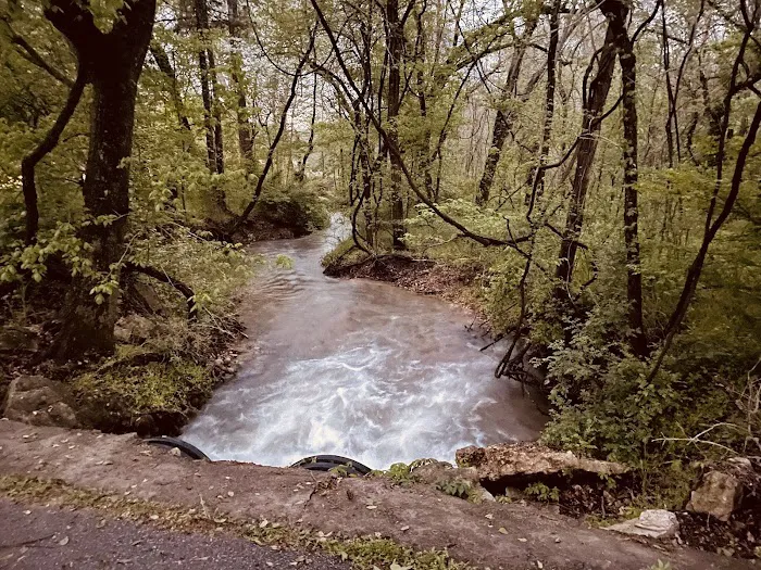 Bella Vista RV Park Picture 1