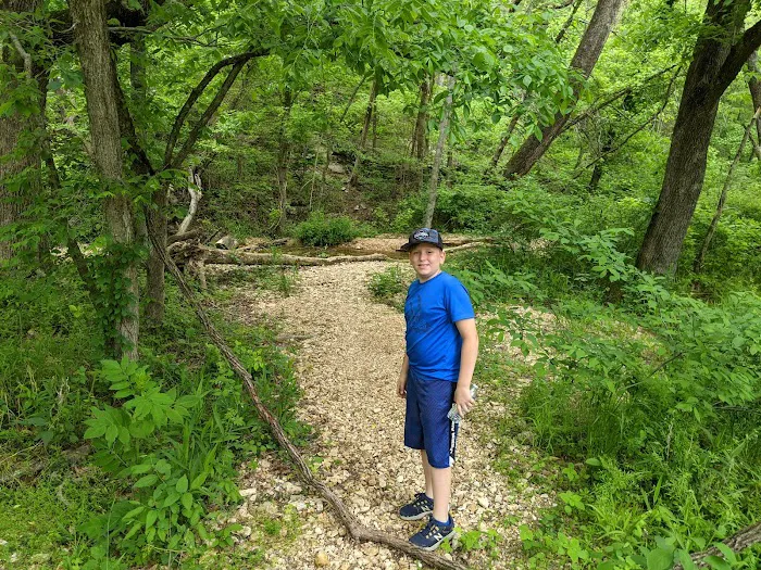 Bella Vista RV Park Picture 2