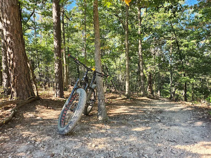 Bella Vista RV Park Picture 4