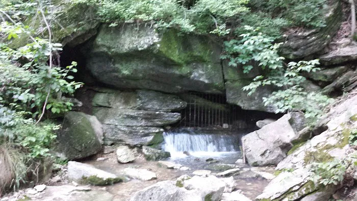 Bella Vista RV Park Picture 7