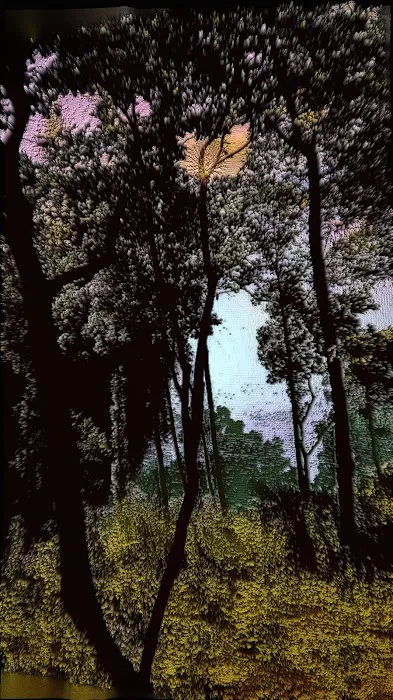 Bella Vista RV Park Picture 9