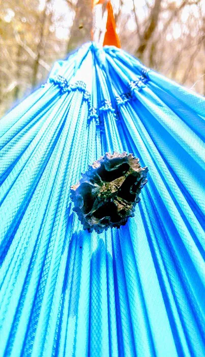 Bella Vista RV Park Picture 8