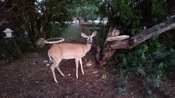 Caribbean Cowboy RV Park Picture 8