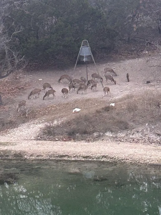 Johnson Creek RV Resort & Park Picture 3