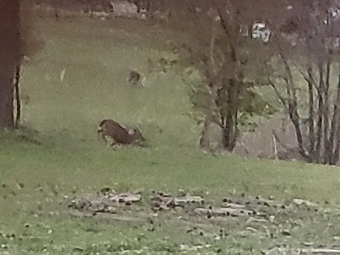 Whispering Pines Mobile Home park Picture 4