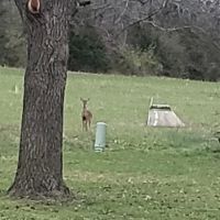 Whispering Pines Mobile Home park ico