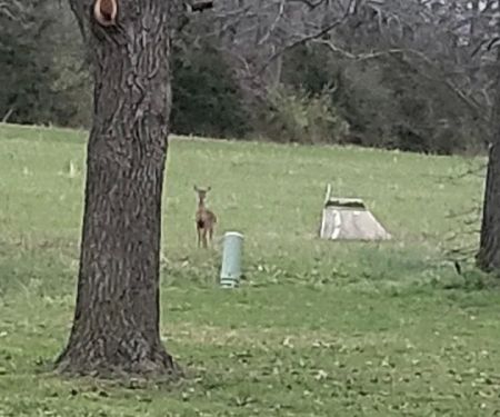 Whispering Pines Mobile Home park