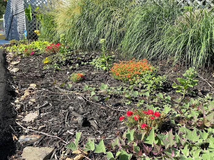 Silver Springs RV Park Picture 10