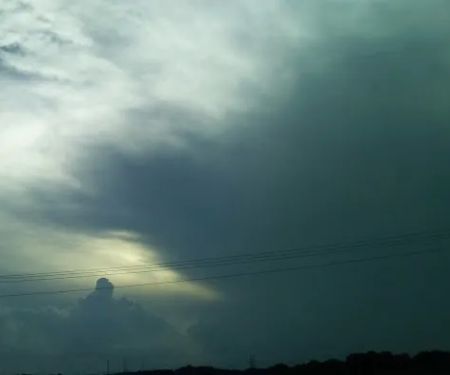 South Oaks Mobile Park