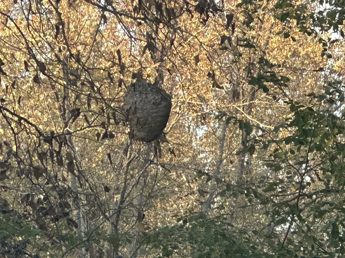 White Pine & Twin Ridges Mobile Home Parks Picture 2