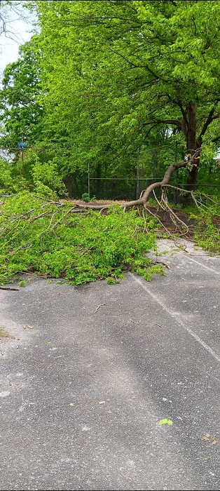 English Village Mobile Home Community Picture 10