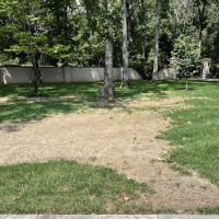 Timbercreek RV Park ico