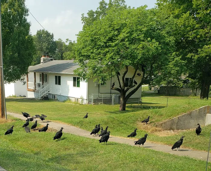 Colony Cove Mobile Home Parklot 32 Picture 3