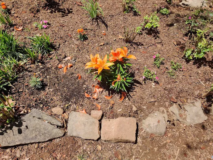 Colony Cove Mobile Home Parklot 32 Picture 2