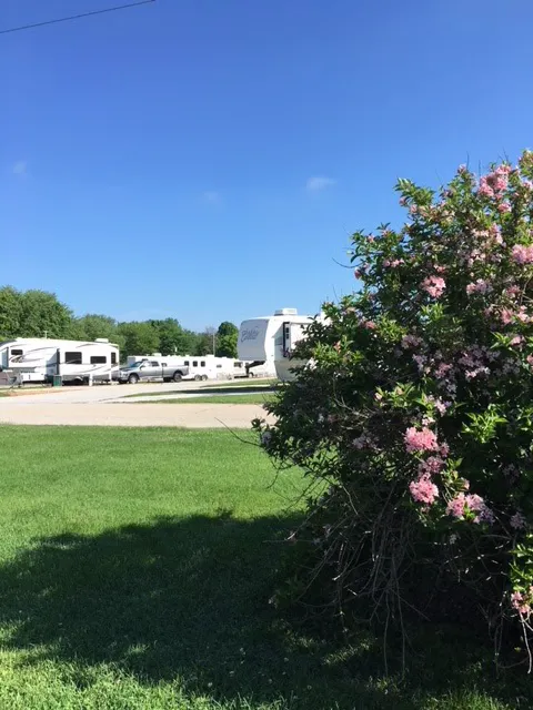 Silver Bell Mobile Home & RV Park Picture 9