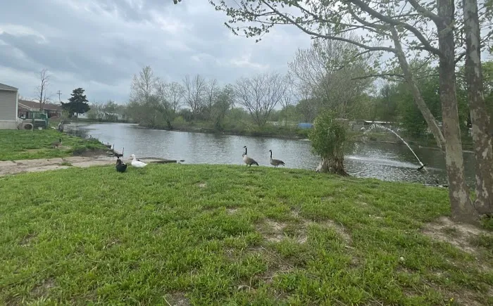 Alpine Village Mobile Home Community Picture 5