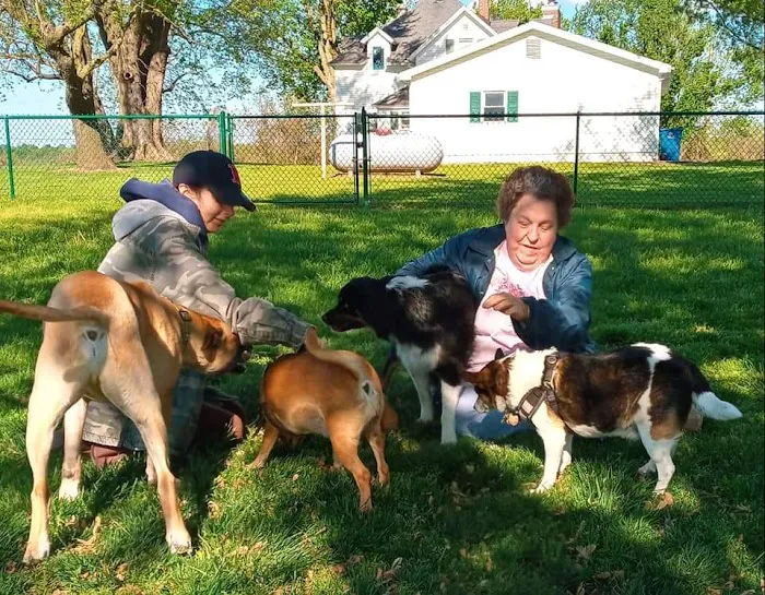 Springfield Farms Picture 4