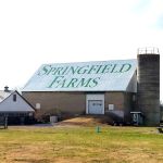 Springfield Farms