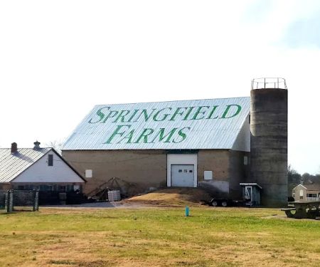 Springfield Farms