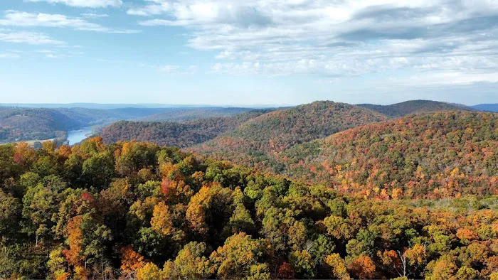 Mt Olive Mercantile Picture 7