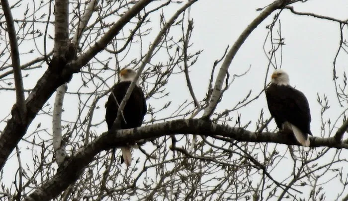 Ox Bow RV Park - Kaw Lake Picture 8