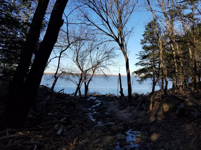 Sandbur RV Park Picture 6
