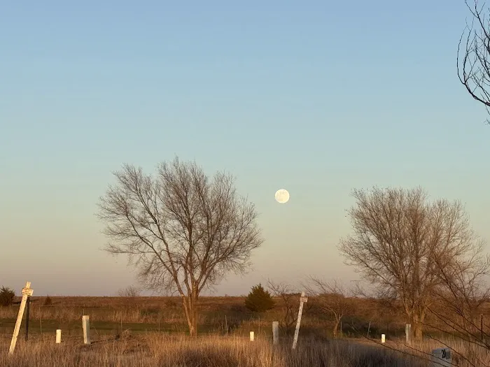 Southern Winds RV Park Picture 5