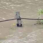 Willow Creek Mobile Home Park