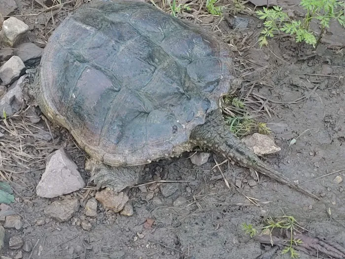 Willow Creek Mobile Home Park Picture 3