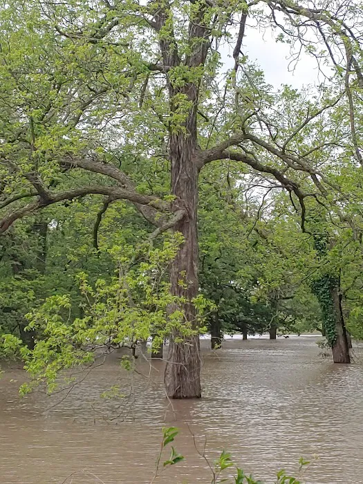 Willow Creek Mobile Home Park Picture 10