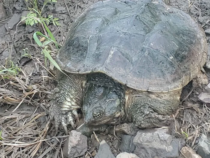 Willow Creek Mobile Home Park Picture 8