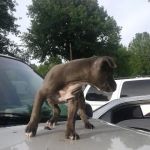 Sleepy Hollow Mobile Home Park