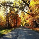 Westside Mobile Home Park