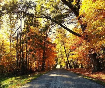 Westside Mobile Home Park