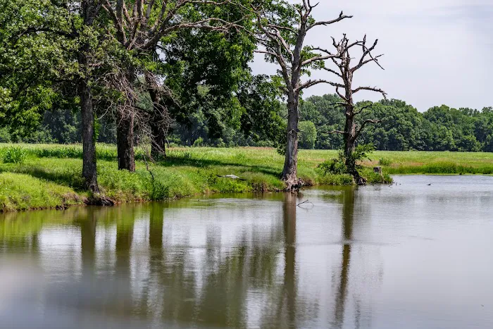 Candy Creek RV Park Picture 8