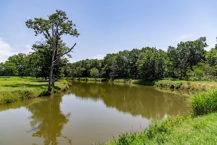 Candy Creek RV Park Picture 5